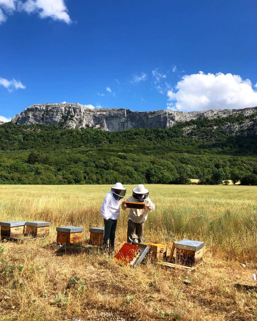 Transformation et commercialisation du miel