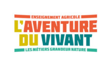 logo_aventure-vivant